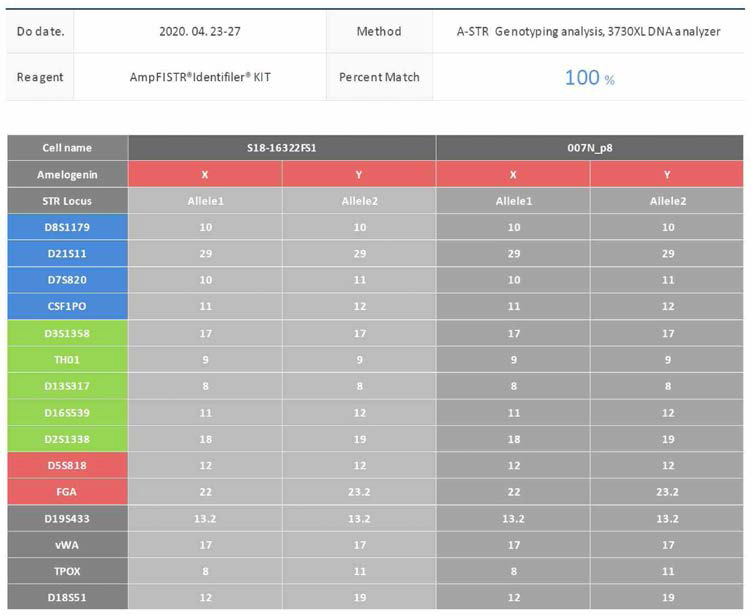 기원조직(S18-16322FS1)과 임상시험용 원료세포(007N-P8)와의 STR 프로파일