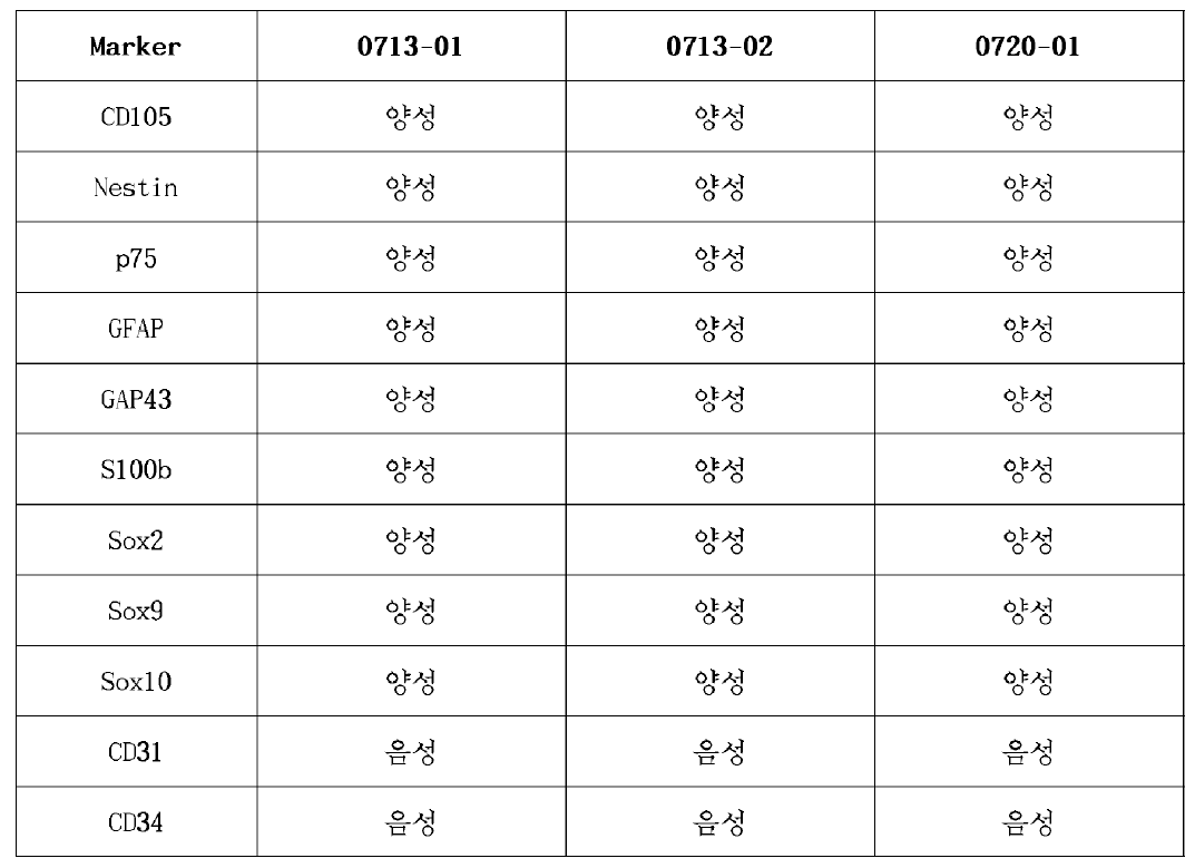 안정성 평가 기간에 따른 시제품 확인 및 순도 (0 h)