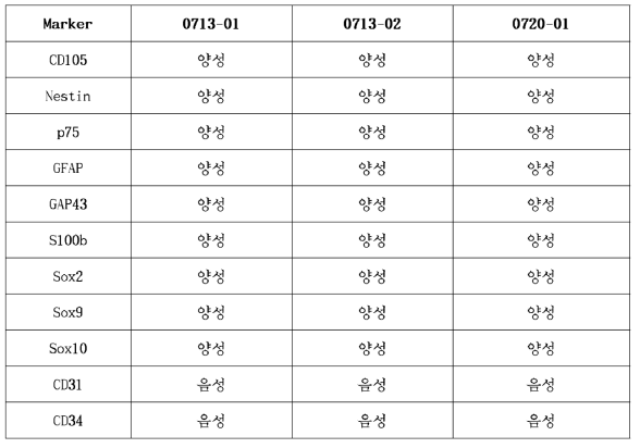 안정성 평가에 따른 시제품의 확인 및 순도 평가 결과(24 h)