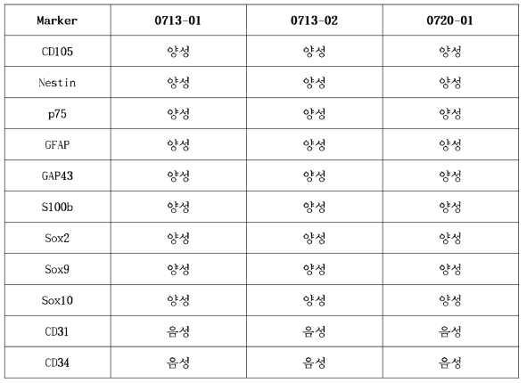 안정성 평가에 따른 시제품의 확인 및 순도 평가 결 과 (48 h )