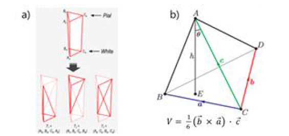 a) Pial곡면과 white곡면이 이루는 삼각기둥과 삼각기둥을 3 개의 4면체로 구성하는 방법, b) 4면체의 부피에 대한 벡터 공식