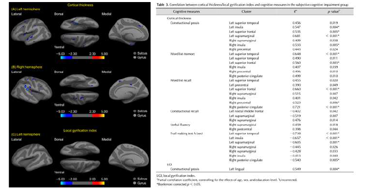 정상인그룹보다 SCI그룹에서 피질의 두께와 주름의 깊이가 감소한 영역들 및 인지 기능 검사와의 상관관계 결과