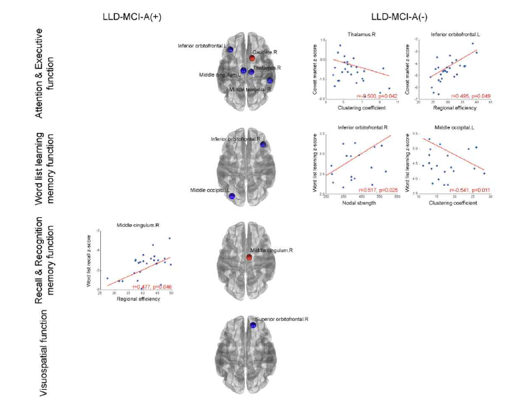 뇌 네트워크의 nodal 특성과 인지기능점수 사이의 상관관계 결과