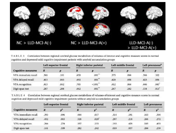 포도당대사가 떨어진 뇌 영역 맵과 그 영역들과 인지기능간의 상관 관계 결과