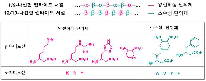 두 신규 나선구조 골격을 활용한 amphiphatic 항진균 AMP 설계