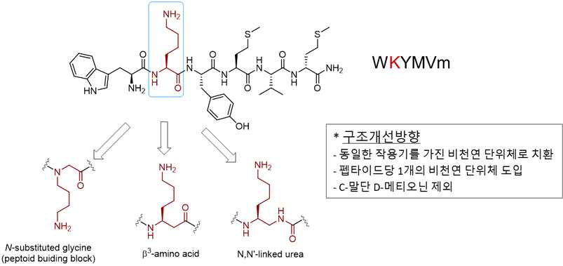WKYMVm 구조개선 방법