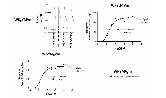 WKYMVm 유사체에 의한 FPR2 활성화 매개 칼슘이온 증가
