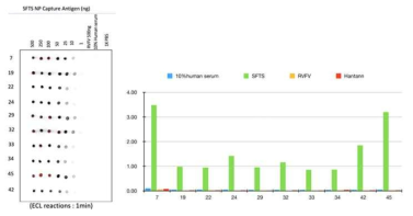 SFTSV NP 항체 10종 항원 검출 민감도 분석 결과
