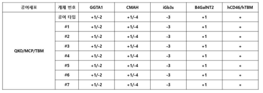 체세포 복제로 생산된 QKO/MCP/TBM 형질전환돼지 유전자 분석 결과