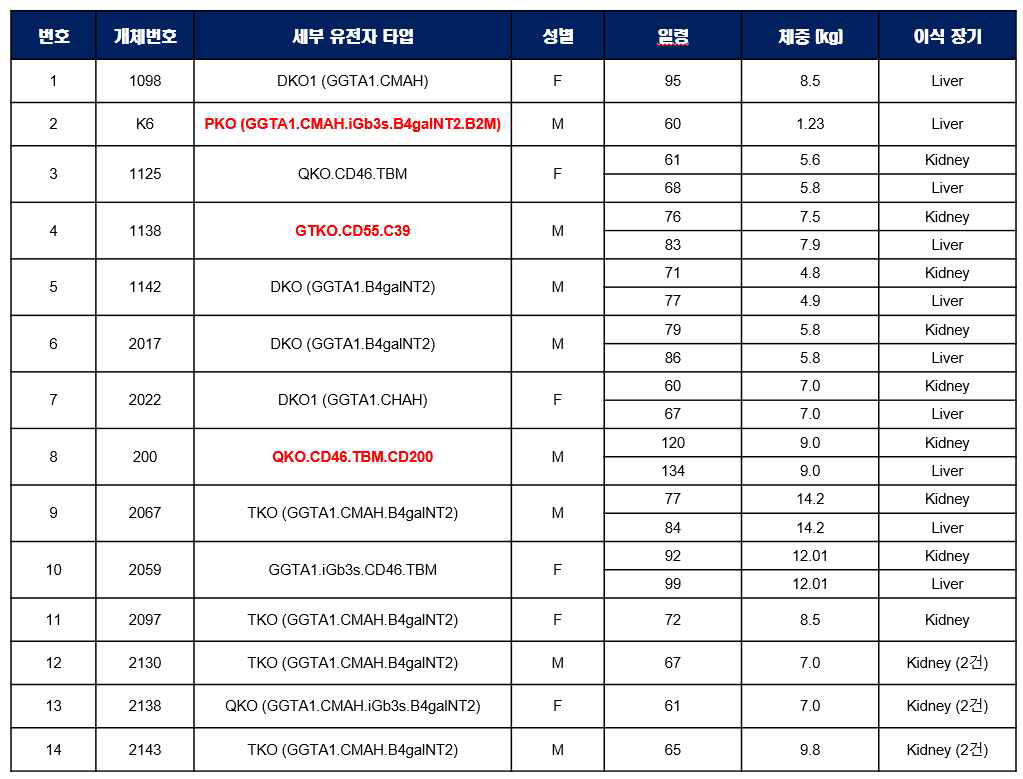 비임상 시험을 위한 형질전환돼지 공급 현황표