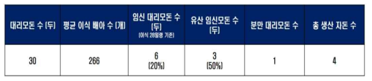 CD200 발현 형질전환 복제돼지 생산을 위한 대리모돈 이식 현황표