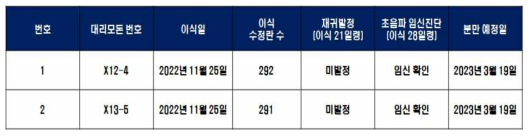 QKO.MCP.TBM.CD200 핵이식란 임신 대리모돈 현황표