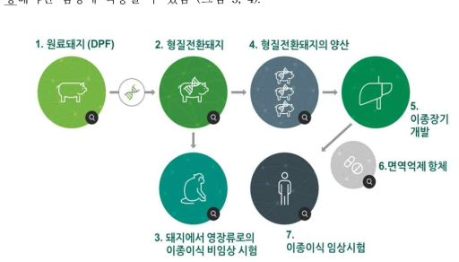 이종장기 이식의 임상 적용을 위한 단계