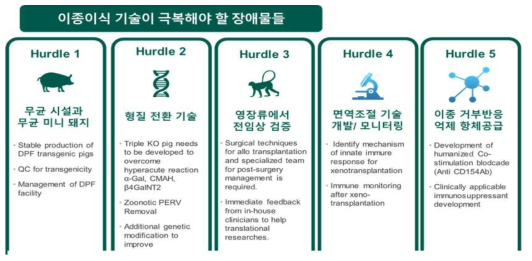 이종 이식 기술이 극복해야 할 장애물