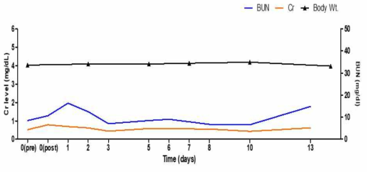 형질전환돼지 신장 이식받은 3번 개체의 혈중 BUN 및 Creatinine 농도의 변화