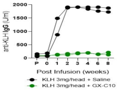 항-CD154 항체 투약 후 KLH 특이 항체의 생성 억제효능 평가