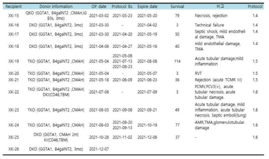 형질전환 돼지를 이용한 이종 신장이식 결과 요약 표
