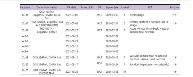 형질전환 돼지를 이용한 이종 간이식 결과 요약 표