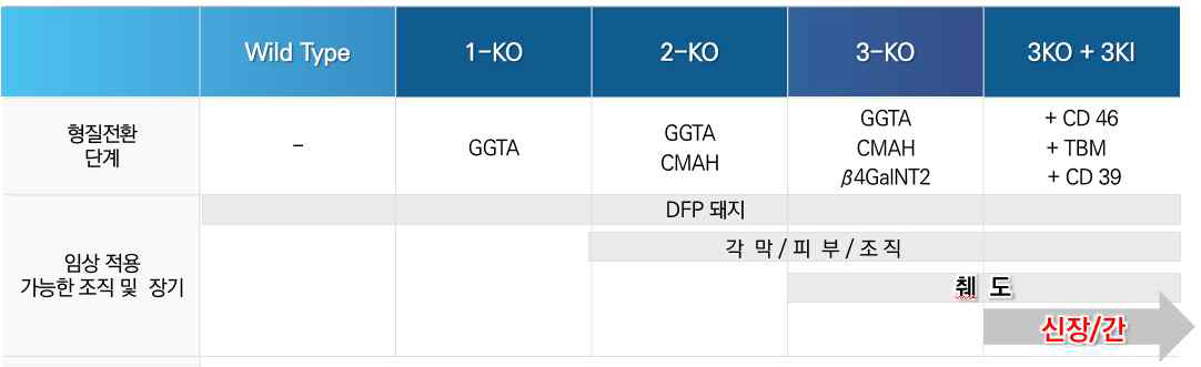 형질전환 단계에 따라 임상 적용 가능한 조직 및 장기