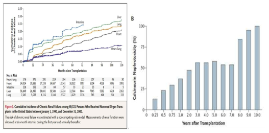 신장이식 후 이식편 생착 실패율(좌), NEJM 2003;349(10):931 칼시뉴린 억제제에 의한 신독성 증가율(우), NEJM 2003;349(24):2326