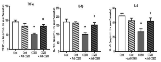 CD200과발현/재차단으로 인한 염증성 사이토카인의 분비 억제 효과의 변화 확인