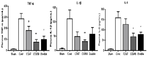 pTEVMP 이식후 마우스 혈청에서 Pro-inflammatory cytokine 분석