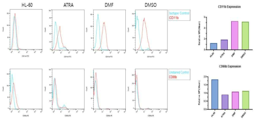 HL-60 세포를 이용하여 호중구 유사 세포로 분화 후 CD11b, CD66b 발현 분석