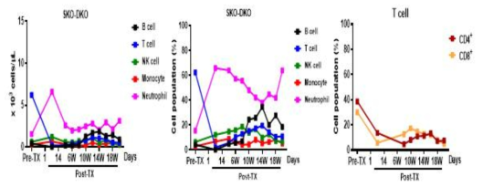 SKO-DKI 이식개체 혈액 내 면역세포 Population 분석