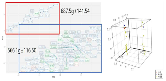 개체 94 두, 6개 SNPs를 이용한 Principal Component Analysis 결과