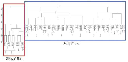 개체 94두의 생시 체중 관여 SNPs 를 통한 Phylogenic tree 분석 결과