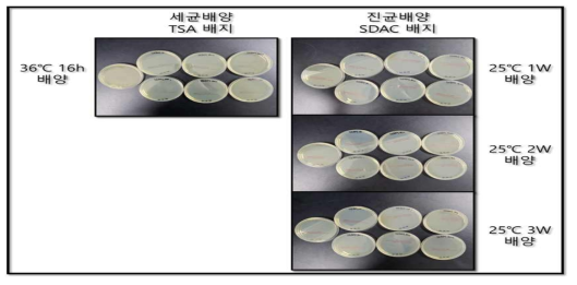 DPF 무균사육시설 환경 모니터링 결과 (인공포유실 결과 일부 발췌)