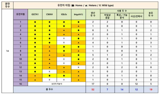 번식유도를 통한 이종항원 결손 형질전환돼지 생산 및 보유 현황