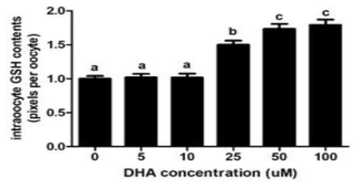 성숙배지 내 DHA 처치 농도에 따른 난자 세포질 내 글루타티온 함량 변화