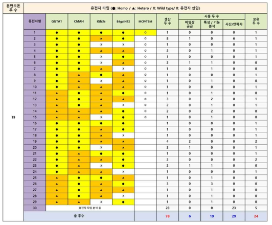 QKO.MCP.TBM 형질전환돼지 후대 생산 및 보유 현황