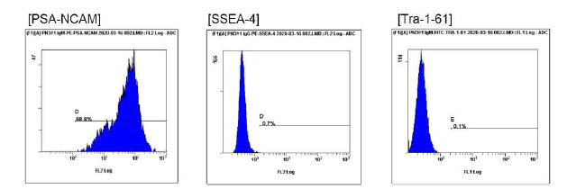 3D 배양액으로 분화된 PN(+) 세포 유세포분석