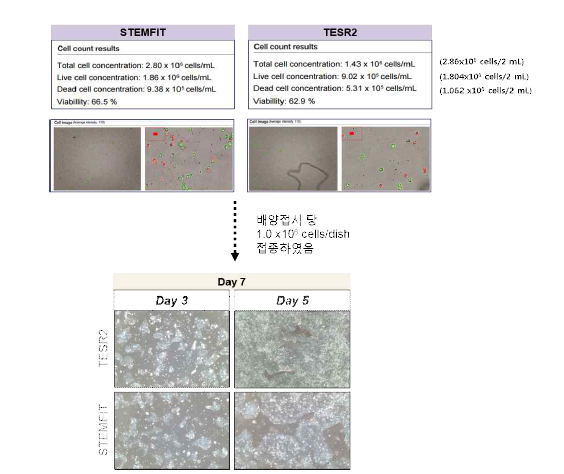 MCB를 이용한 TESR2와 STEMFIT배양액 비교 분석