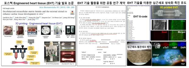 심근세포 성숙화 촉진을 위한 EHT 3D 프린팅 공정 기술력 확보