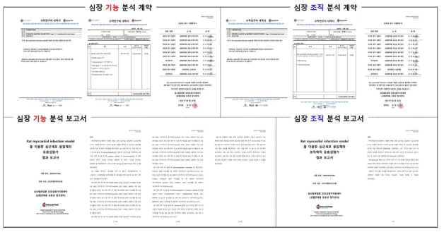 심혈관제품유효성평가센터 (CPEC)와 용역 계약을 통한 체내 유효성 평가 보고서 확보