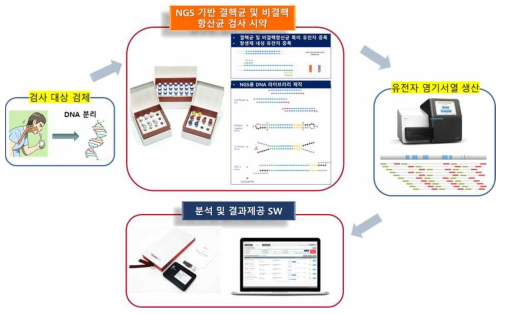 결핵 및 비결핵항산균 다중진단용 제품 및 사용 모식도