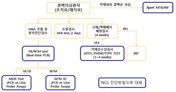 현재 결핵/비결핵항산균 진단과 항생제 내성 검사 체계 및 연구개발기술 적용 검사 단계