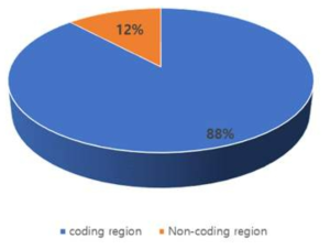 유전변이 발생지역(coding/non-coding region)의 비율