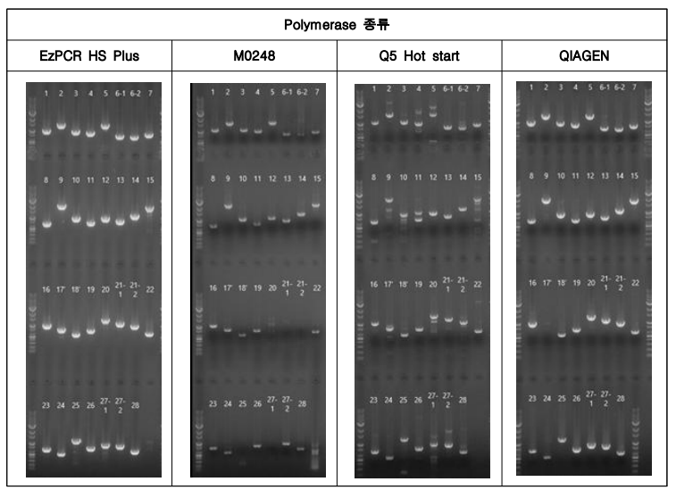 multiplex Long Range PCR polymerase 평가 결과