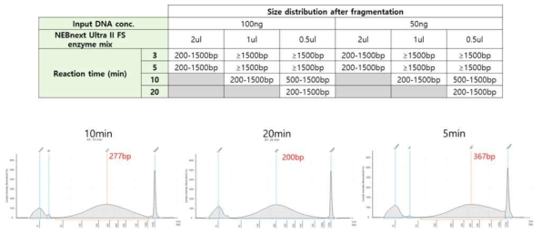 Fragmentse를 이용한 절편화 조건 test