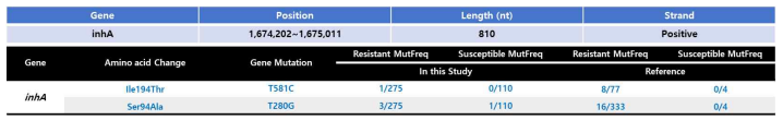 inhA gene mutation 분석결과