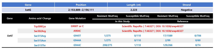 katG gene mutation 분석 결과