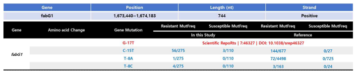 fabG1 gene mutation 분석 결과