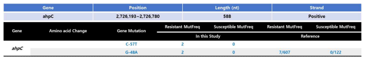 ahpC gene mutation 분석 결과