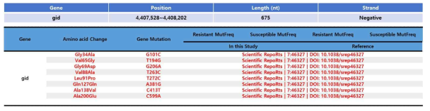 gid gene mutation 분석 결과