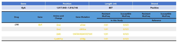 tlyA gene mutation 분석 결과