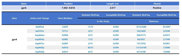 gyrA gene mutation 분석 결과